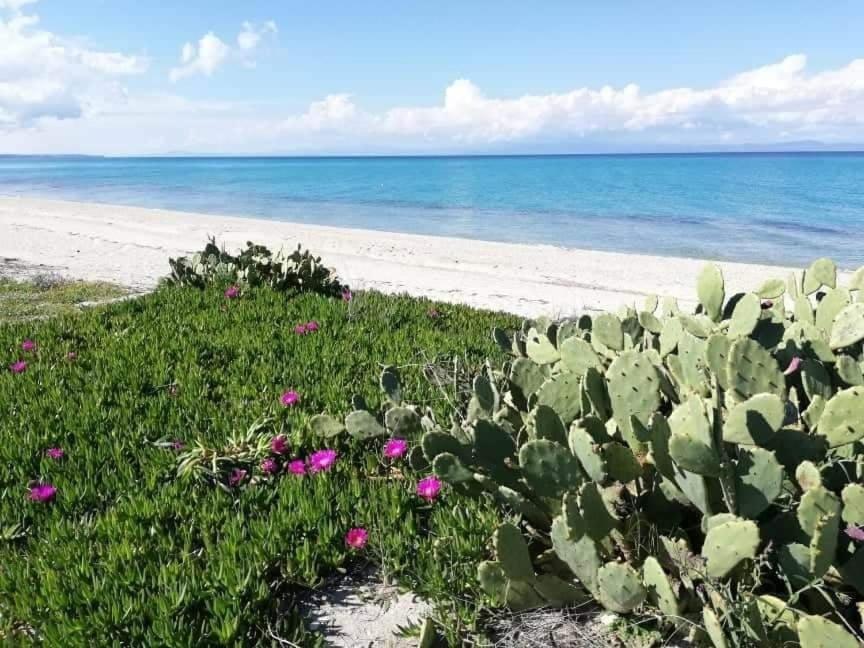 Villa Christina Sea Side A Hanioti Zewnętrze zdjęcie