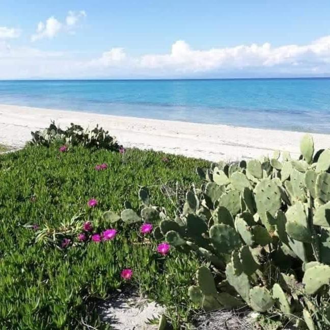 Villa Christina Sea Side A Hanioti Zewnętrze zdjęcie